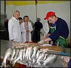 19 сентября 2006 г., Барнаул   Как перерабатывают рыбу на барнаульском предприятии "Диаф"?