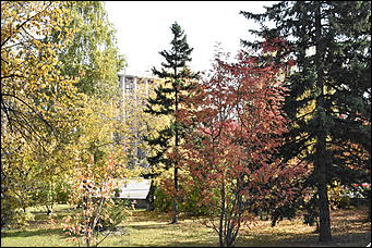 27 сентябрь 2018 г., Барнаул   Осенние краски бабьего лета в Барнауле