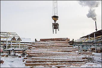 23 ноябрь 2016 г., Барнаул © Амител Вячеслав Мельников   Фоторепортаж с современного деревоперерабатывающего производства