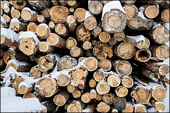 23 ноябрь 2016 г., Барнаул © Амител Вячеслав Мельников   Фоторепортаж с современного деревоперерабатывающего производства
