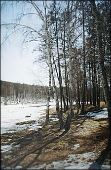 15 февраля 2007 г., Барнаул   В Барнауле открылась фотовыставка "Березовые песни", посвященная 70-летию Алтайского края