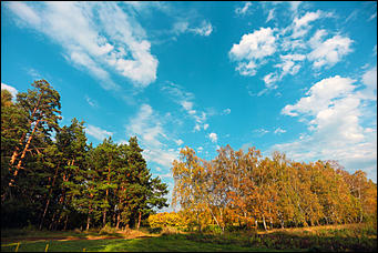 20 сентября 2017 г, Барнаул. Екатерина Смолихина   Буйство красок осеннего Барнаула
