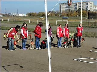 6  октябрь 2013 г., Барнаул   Праздник "Право на собаку"