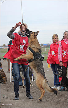 6  октябрь 2013 г., Барнаул   Праздник "Право на собаку"