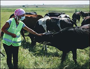 5 августа 2020 г., Барнаул. Екатерина Смолихина   В огород под конвоем. Как живут и работают осужденные женской колонии на Алтае