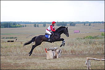 29-31 августа 2011 г., Барнаул   Официальные соревнования по конному троеборью