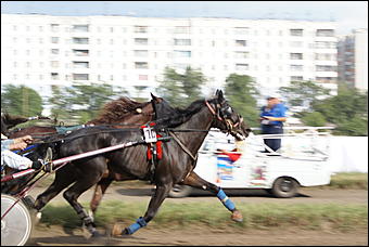 19 августа 2007г., Барнаул   Конно-спортивные состязания на "Кубок губернатора" (фото Кристины Красниковой)