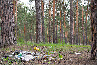 1 июнь 2013 г., Барнаул   Уникальный ленточный бор стал чище (фото А. Баулина)