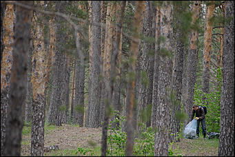 1 июнь 2013 г., Барнаул   Уникальный ленточный бор стал чище (фото А. Баулина)