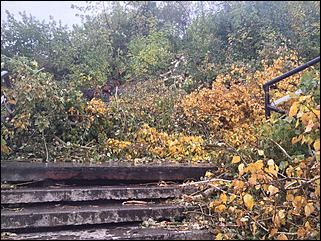 Демонтаж лестницы на ВДНХ в Барнауле   Демонтаж лестницы на ВДНХ в Барнауле