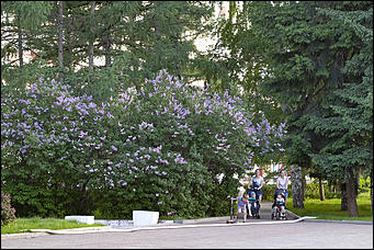 13 май 2020 г., Барнаул   "Это май-чародей". Как цветет Барнаул