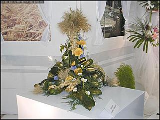    Выставка цветов