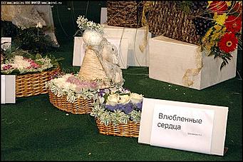    Выставка цветов<br>Октябрьский район