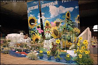    Выставка цветов<br>Железнодорожный район