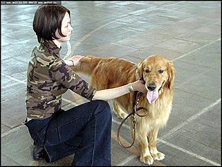    Выставка собак "Азия 2003"