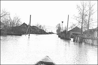    Наводнение в Затоне Барнаул 1958 год.<br><font size="1">/ автор фотографий - Игорь Рогалев /</font>