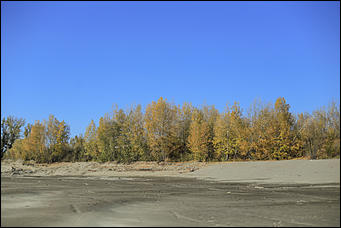 16 октября 2019 г., Барнаул. Екатерина Смолихина   Нежный октябрь: солнечная фотопрогулка вдоль обмелевшей Оби