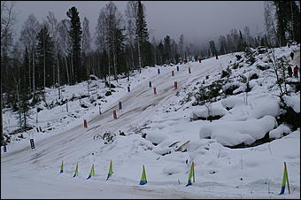 11 февраля 2006 г., Телецкое озеро, гора Кокуя   Горнолыжный карнавал "Новый снег". 