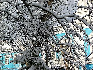 9 ноября 2008 г., Барнаул   Первый снег 