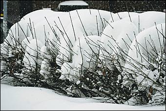 26 декабря 2019 г., Барнаул. Екатерина Смолихина   Штурмуем сугробы. Как Барнаул завалило рекордным количеством снега