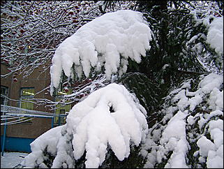 5 ноября 2009 г., Барнаул   В Барнаул пришла "зима"