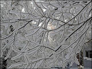8 декабря 2007 г., Барнаул   Сказочная зима в Барнауле