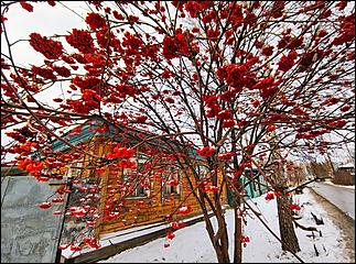 17 ноября 2021 г., Барнаул   Белое покрывало ноября. Зима пришла в Барнаул