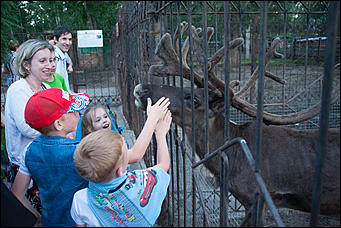 7 июля 2017   В минувшую пятницу в Барнаульском зоопарке, прошла "Ночь Страха".